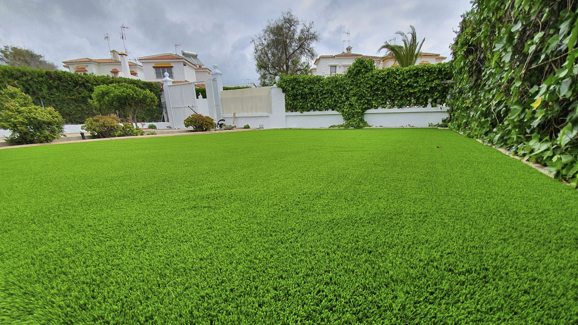 Imagen 1 de MonteGrass